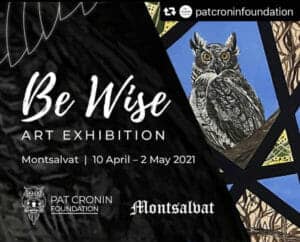 Be Wise Exhibition Cronin Foundation